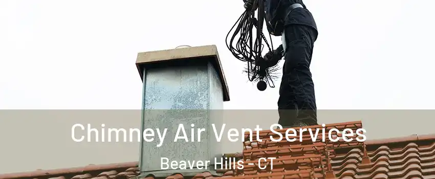 Chimney Air Vent Services Beaver Hills - CT