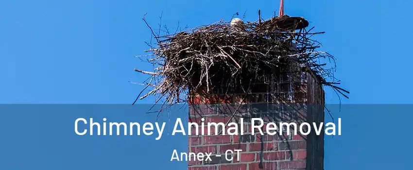 Chimney Animal Removal Annex - CT