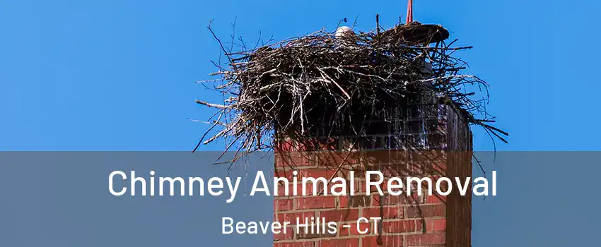 Chimney Animal Removal Beaver Hills - CT