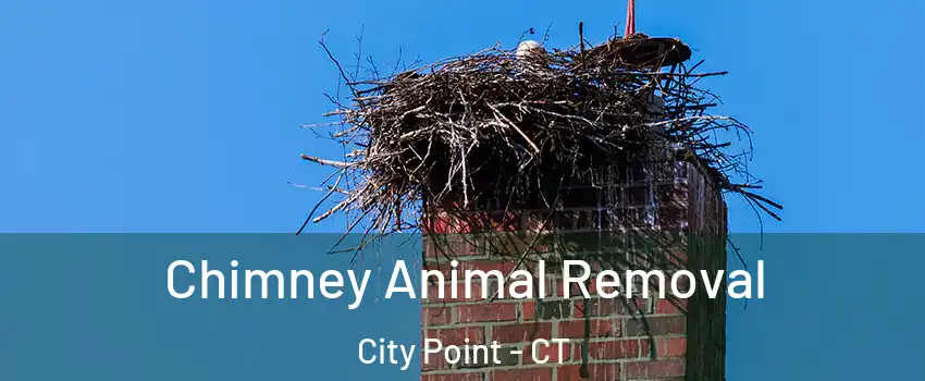 Chimney Animal Removal City Point - CT