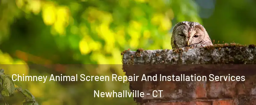 Chimney Animal Screen Repair And Installation Services Newhallville - CT