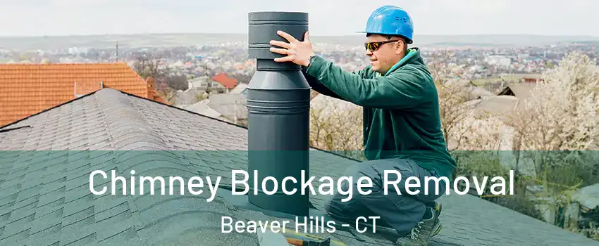 Chimney Blockage Removal Beaver Hills - CT