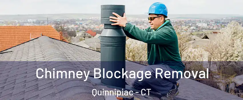 Chimney Blockage Removal Quinnipiac - CT