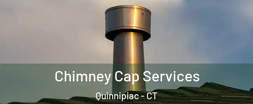 Chimney Cap Services Quinnipiac - CT