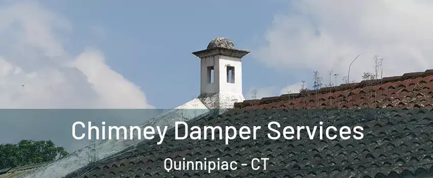 Chimney Damper Services Quinnipiac - CT