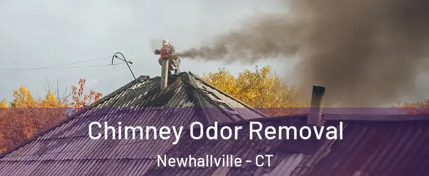 Chimney Odor Removal Newhallville - CT