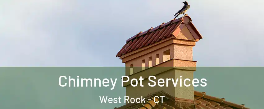 Chimney Pot Services West Rock - CT