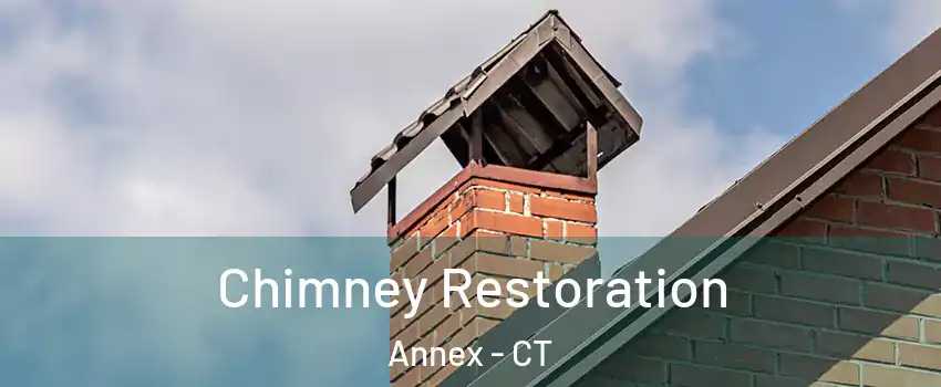 Chimney Restoration Annex - CT