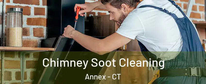 Chimney Soot Cleaning Annex - CT