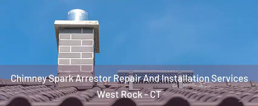 Chimney Spark Arrestor Repair And Installation Services West Rock - CT