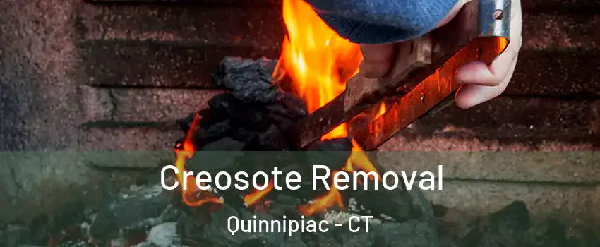 Creosote Removal Quinnipiac - CT