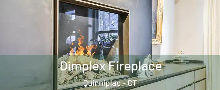 Dimplex Fireplace Quinnipiac - CT