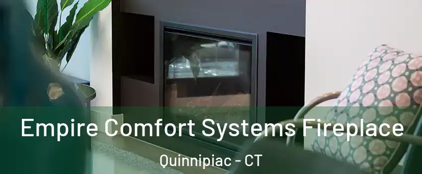 Empire Comfort Systems Fireplace Quinnipiac - CT