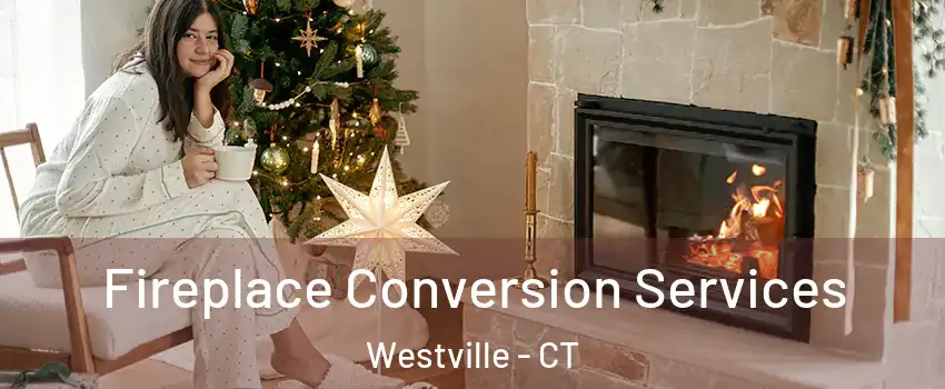 Fireplace Conversion Services Westville - CT