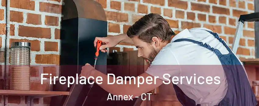 Fireplace Damper Services Annex - CT