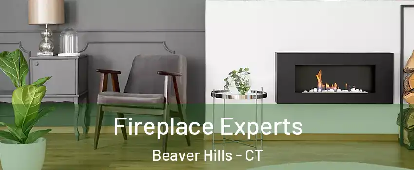 Fireplace Experts Beaver Hills - CT