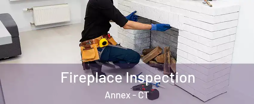 Fireplace Inspection Annex - CT