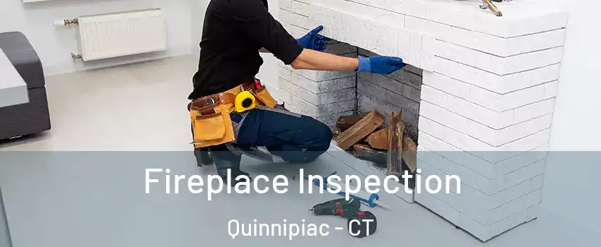 Fireplace Inspection Quinnipiac - CT