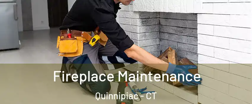 Fireplace Maintenance Quinnipiac - CT