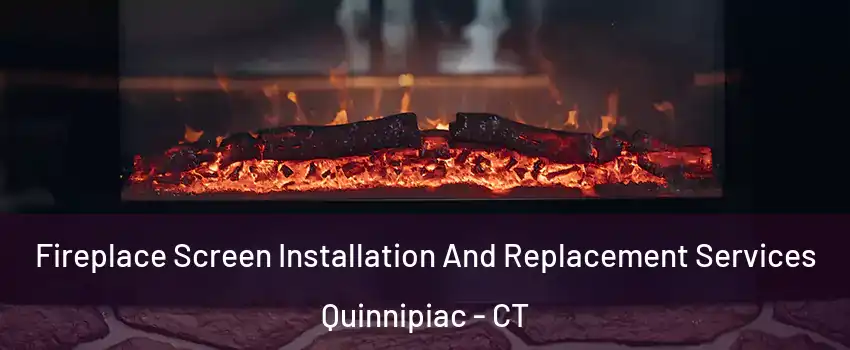 Fireplace Screen Installation And Replacement Services Quinnipiac - CT