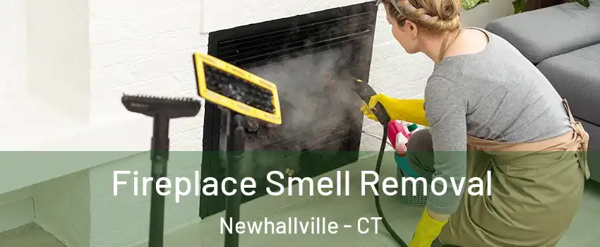 Fireplace Smell Removal Newhallville - CT