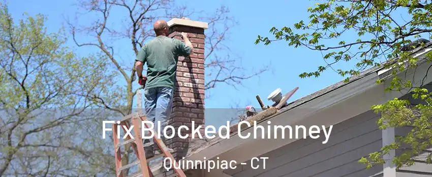 Fix Blocked Chimney Quinnipiac - CT