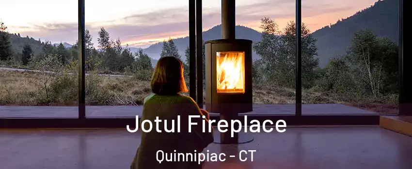 Jotul Fireplace Quinnipiac - CT