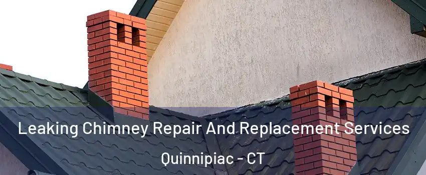 Leaking Chimney Repair And Replacement Services Quinnipiac - CT