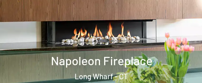 Napoleon Fireplace Long Wharf - CT