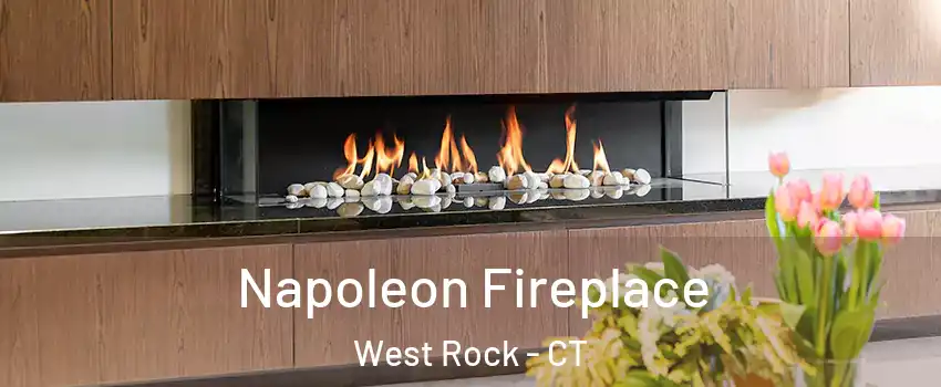 Napoleon Fireplace West Rock - CT