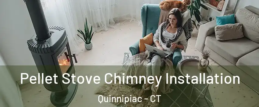 Pellet Stove Chimney Installation Quinnipiac - CT