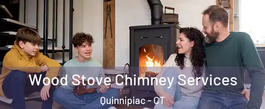 Wood Stove Chimney Services Quinnipiac - CT